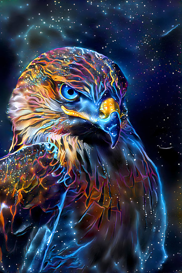The Hawk: Unveiling Truth and Spirituality