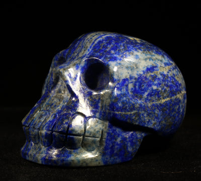 1195 Lapis Lazuli Skull 208g 3in x 2.55in