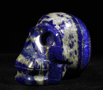 1199 Lapis Lazuli Skull 161g 2in x 2.5in