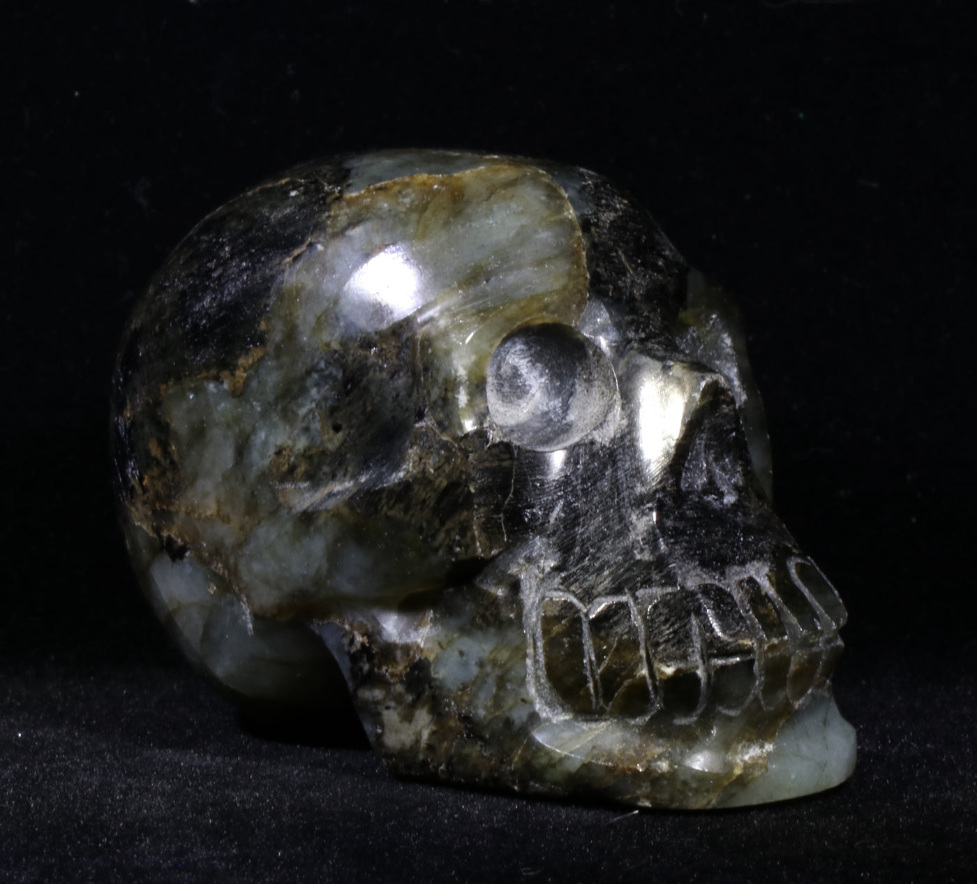 1200 Labradorite Skull 192g 2in x 2.5in