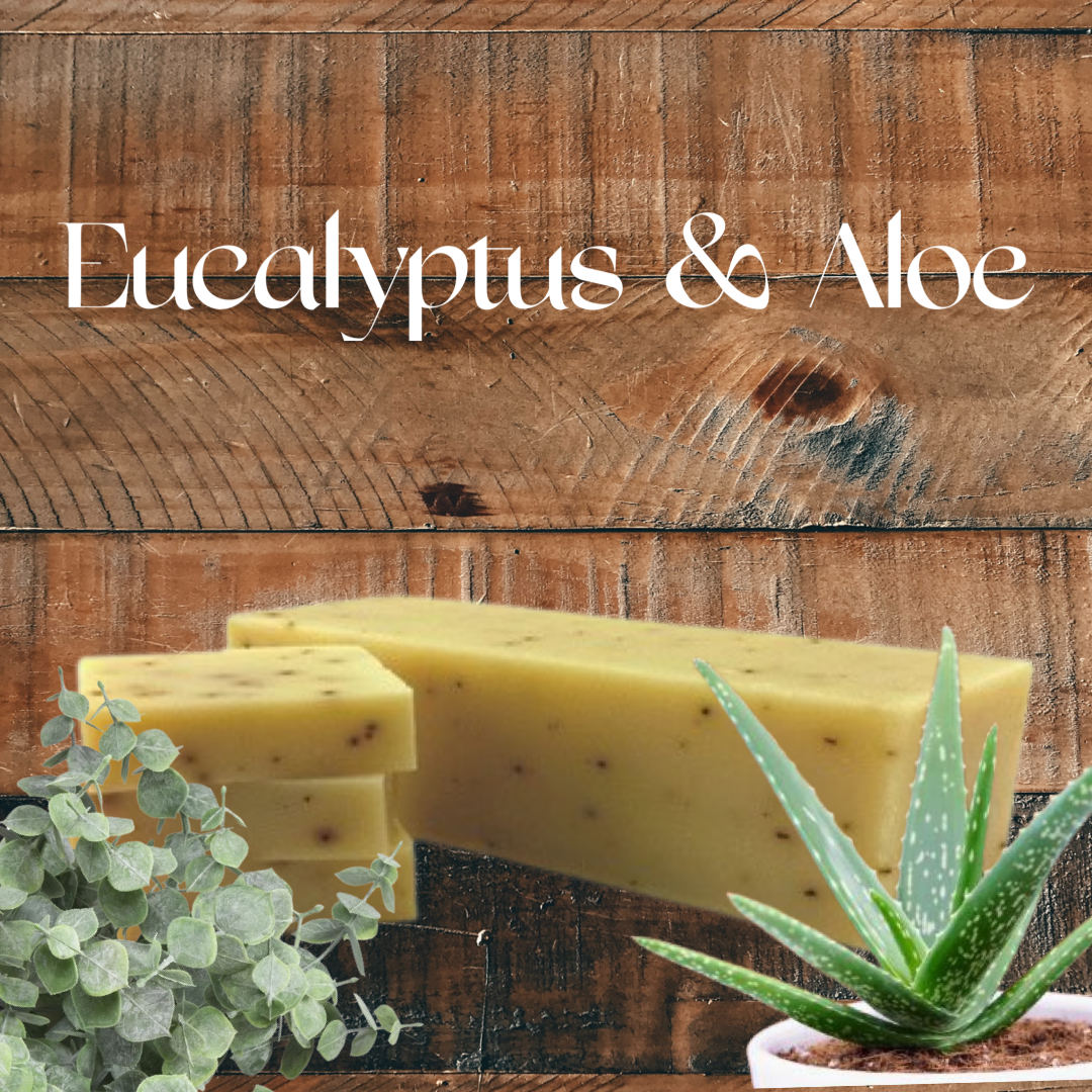 Eucalyptus Aloe Cold Process Soap Bar