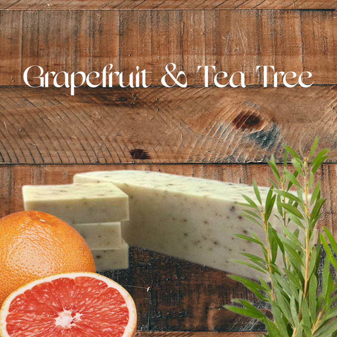 Grapefruit Tea Tree Scrub Cold Process Soap Bar