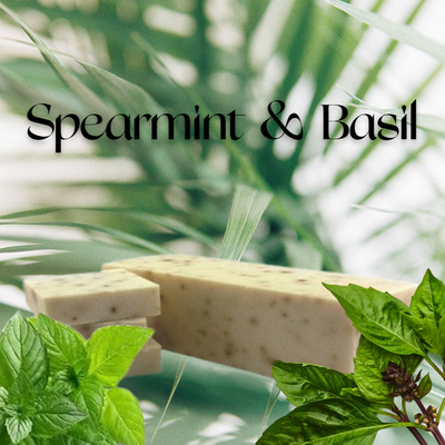 Spearmint Basil Scrub Cold Process Soap Bar