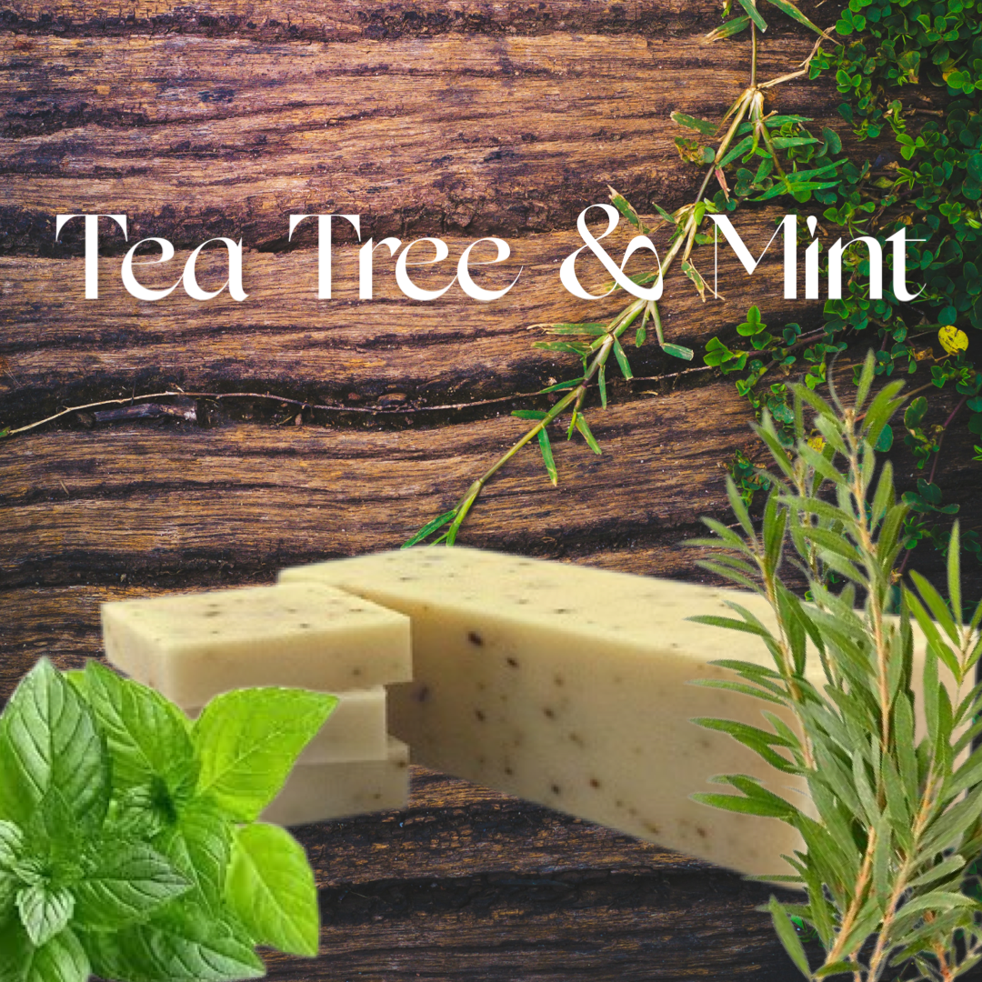 Tea Tree Mint Cold Process Soap Bar